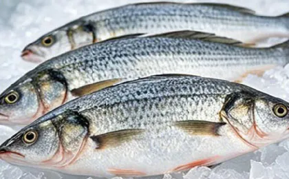 Aquatic Products