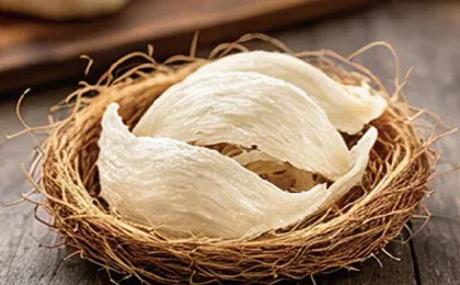 Bird's Nest Products