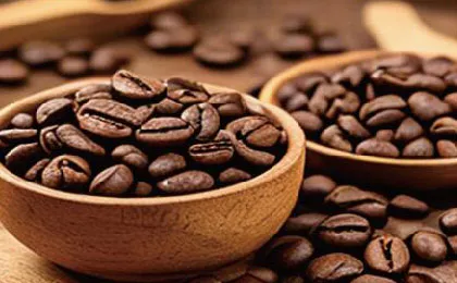 Coffee & Cocoa Beans