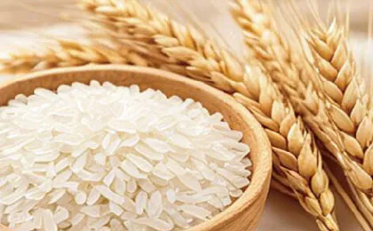 Edible Grains
