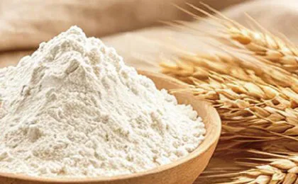 Grain Products & Malt
